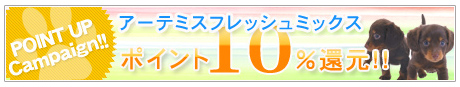 �A�[�e�~�X10�{�|�C���g