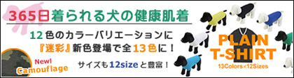 365�������錢�̌��N�����@�z�b�g�h�b�O�v���[��T�V���c