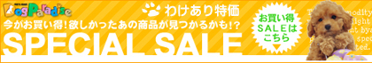SALE���󂠂����