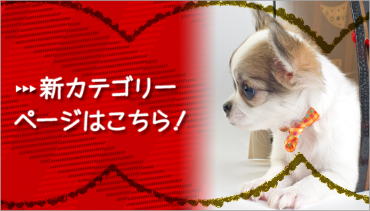 新カテゴリーページへ