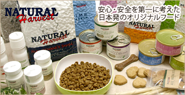 �i�`�������E�n�[�x�X�g