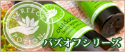 Shinzi Katoh