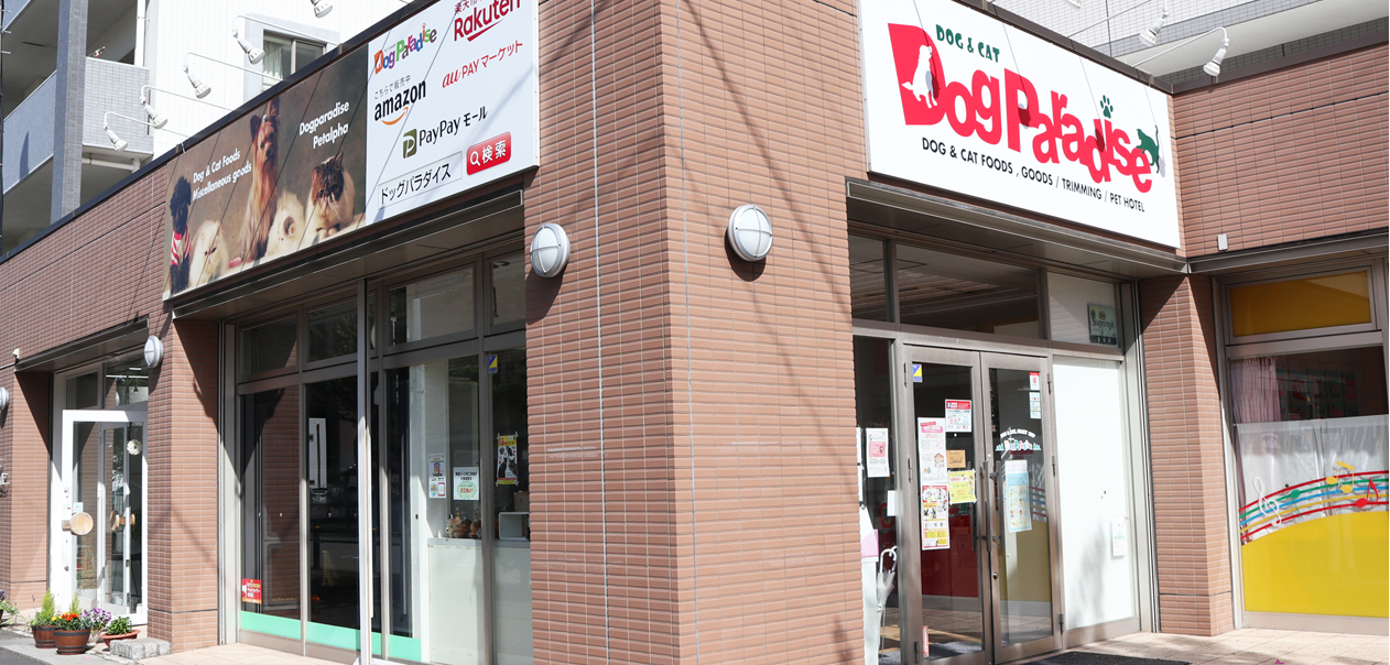 ドッグパラダイス