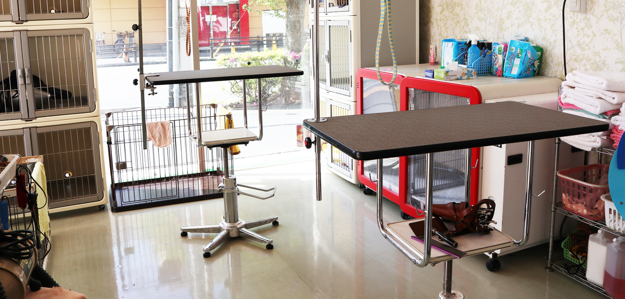 ドッグパラダイス