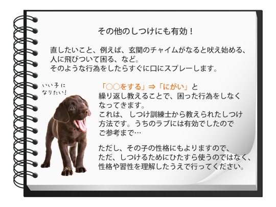 �r�^�[�A�b�v���̎g����