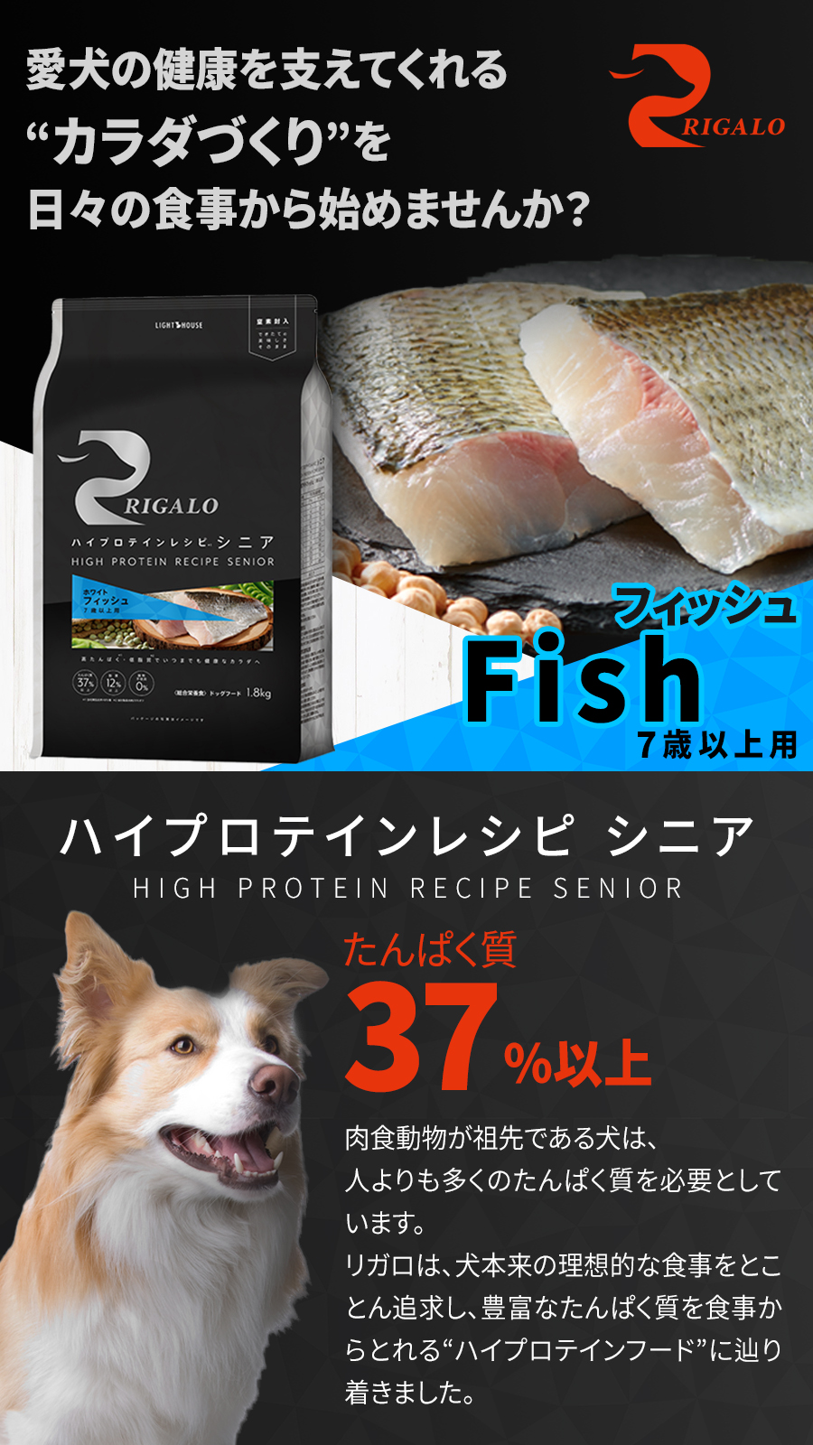 リガロ 7歳以上 フィッシュ
