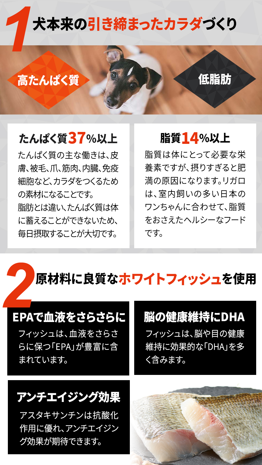 リガロ 成犬・子犬用 フィッシュ