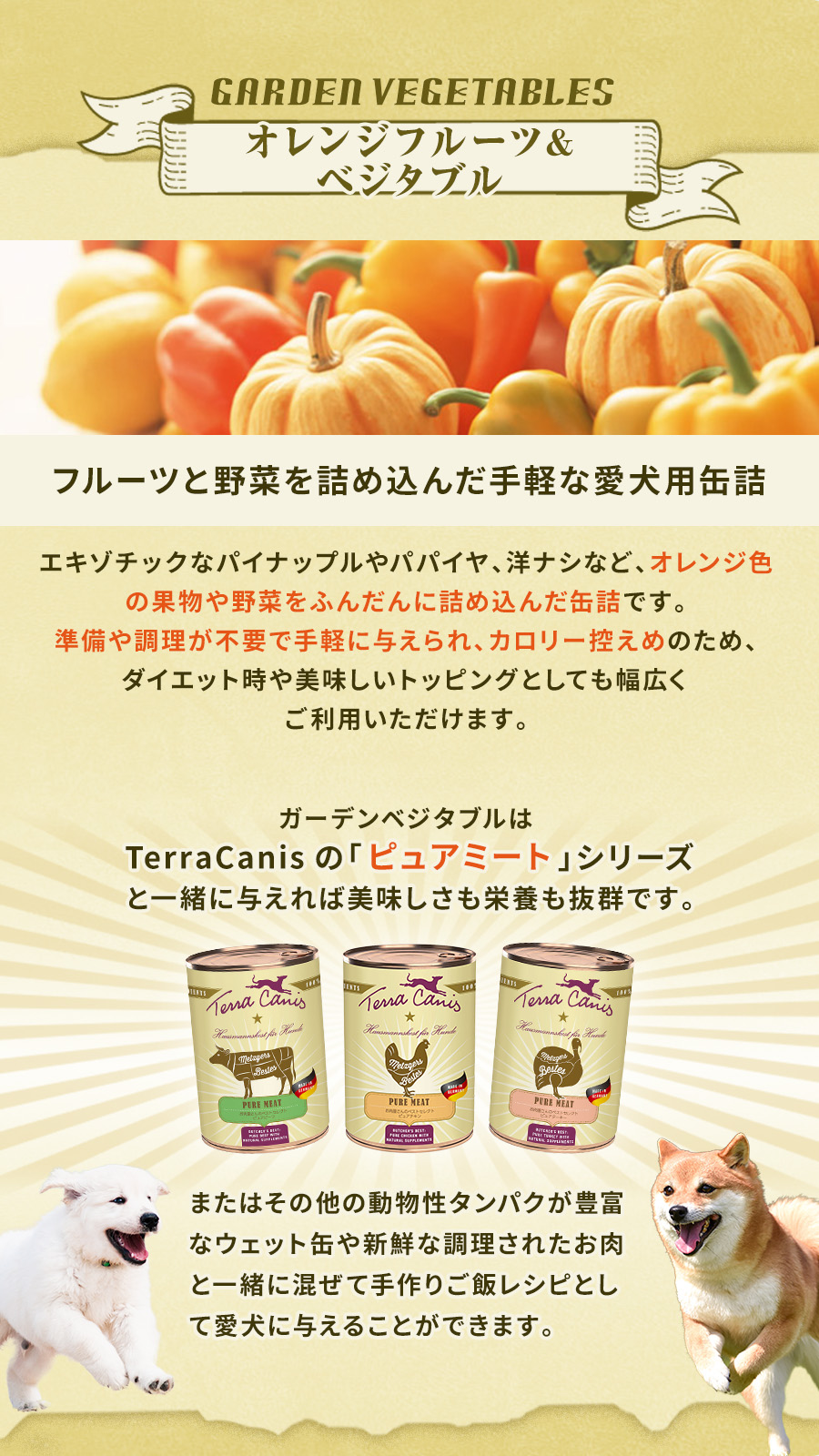 テラカニス　ガーデンベジタブル　オレンジフルーツ＆ベジタブル缶　400g