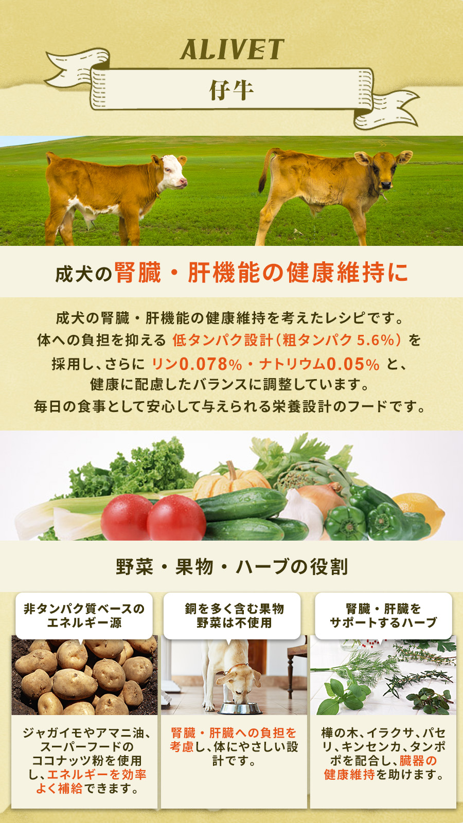 テラカニス アリベット　ロープロテイン 低タンパク（仔牛肉）　400g