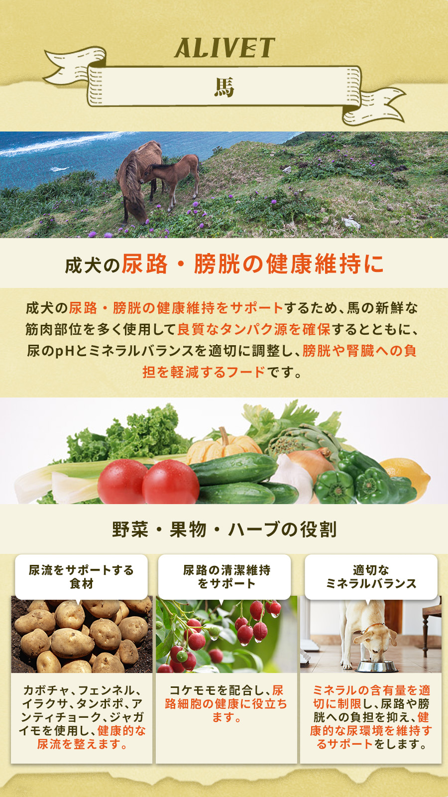 テラカニス アリベット ローミネラル 低ミネラル（馬肉）　400g