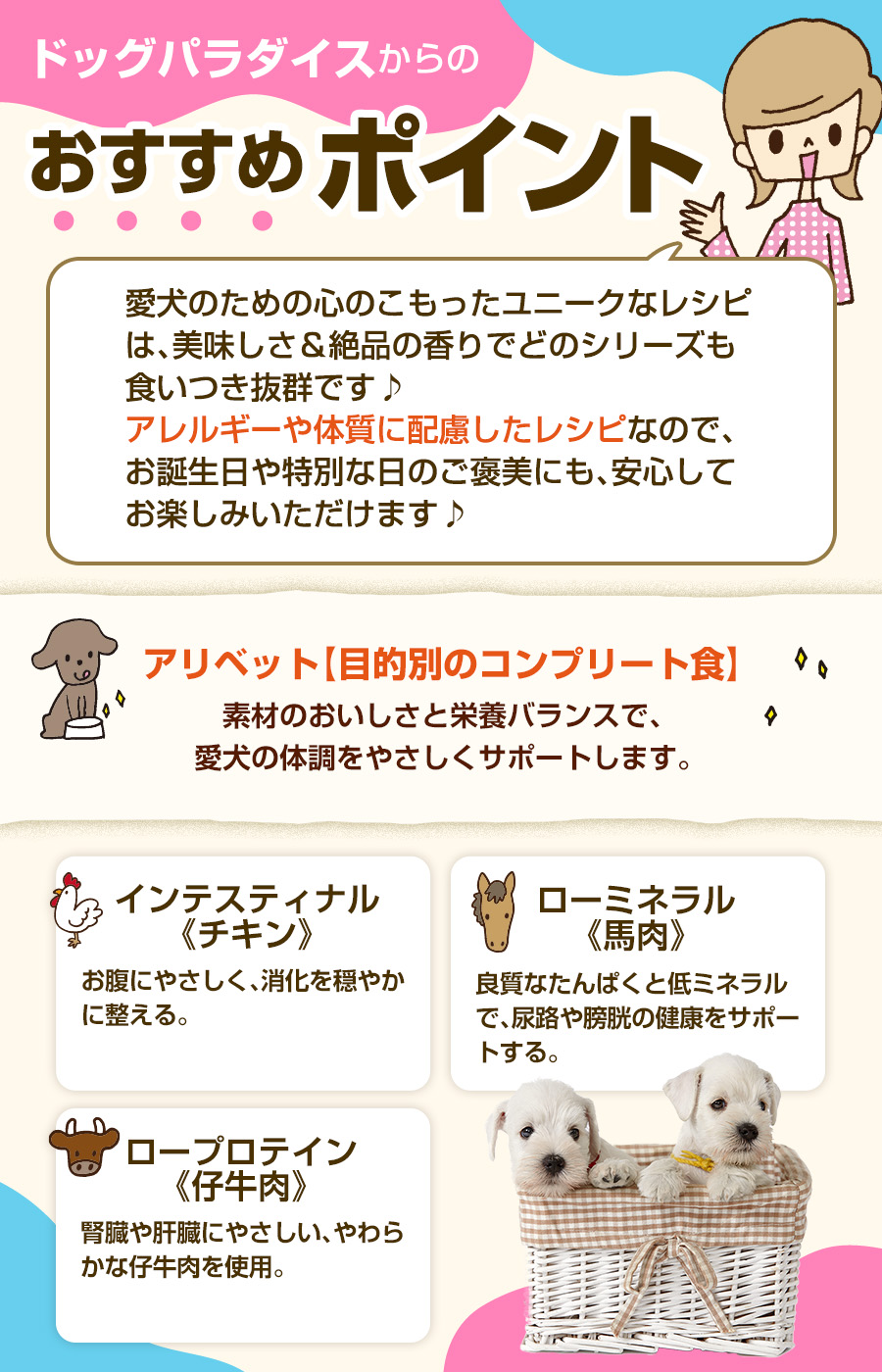 おすすめポイント