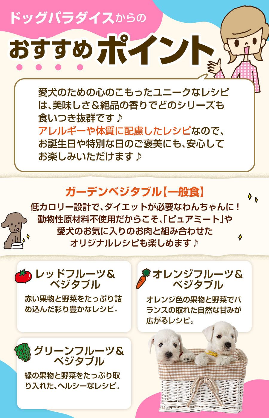 おすすめポイント