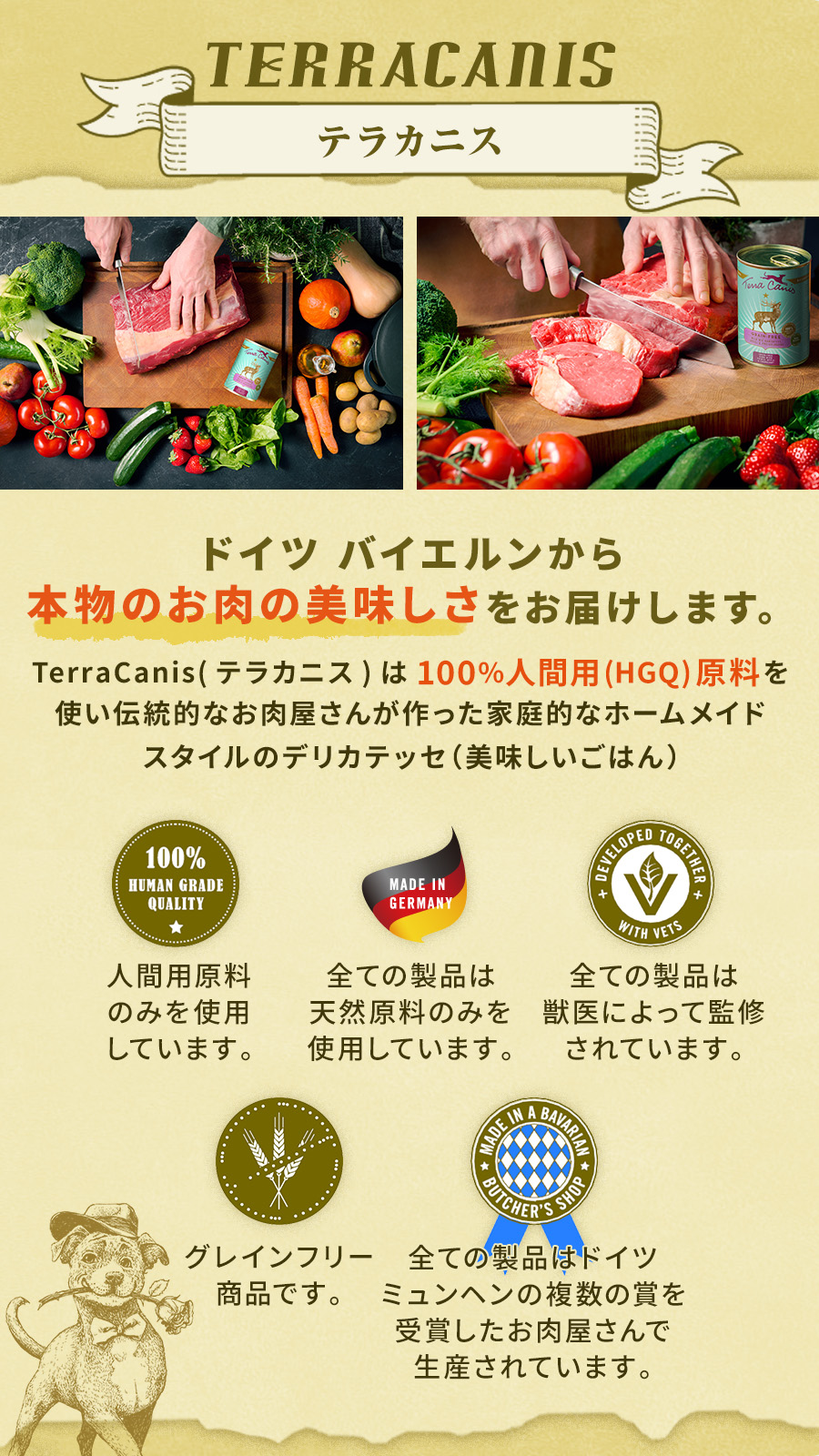 テラカニス グレインフリー 鹿肉缶 400g