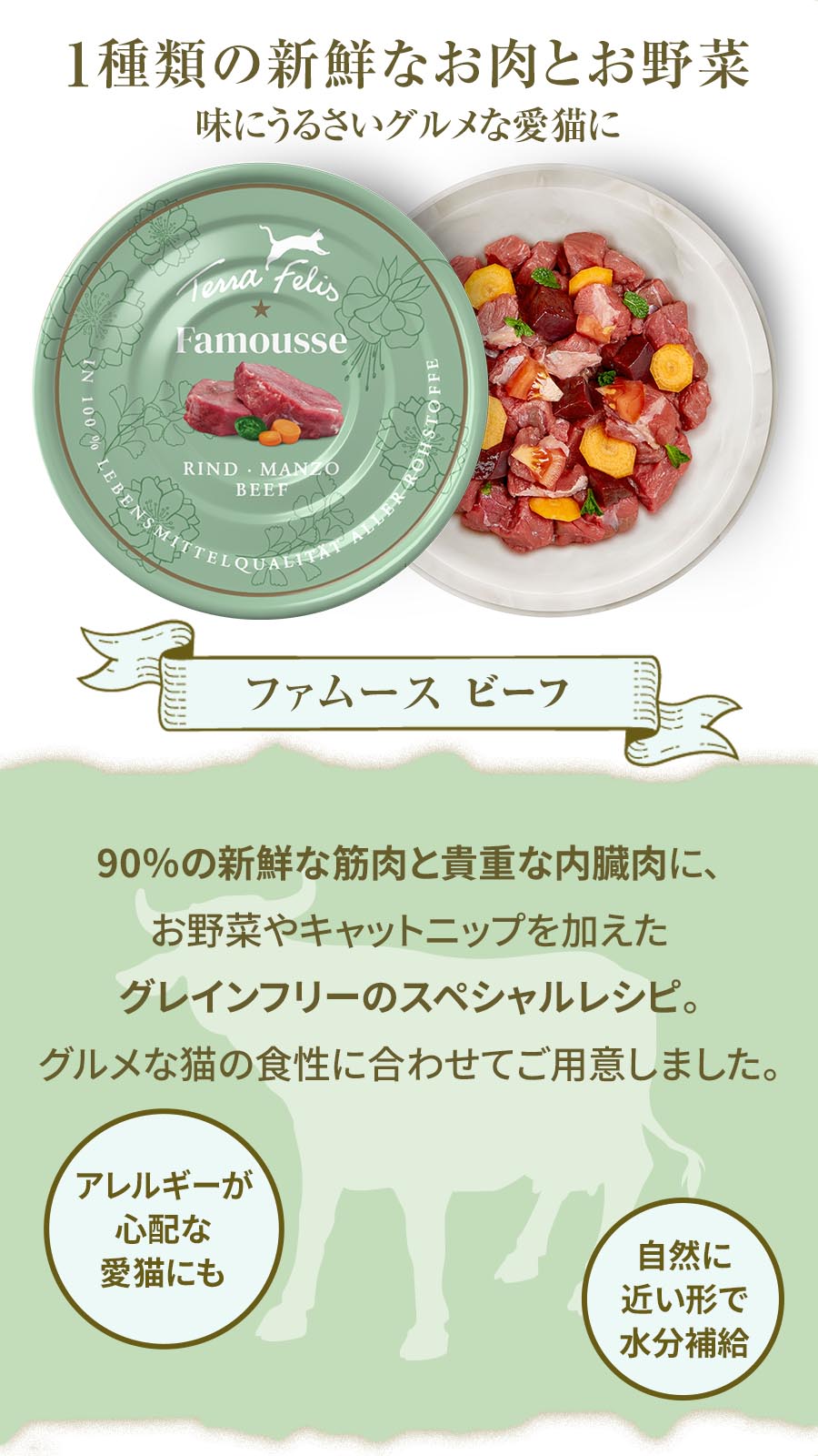 テラフェリス ファムース ビーフ