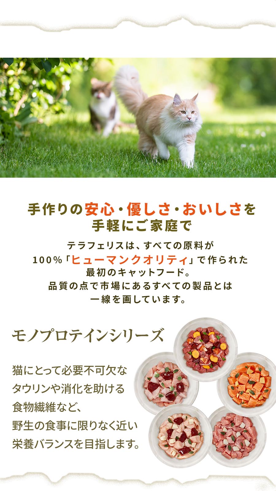 テラフェリス