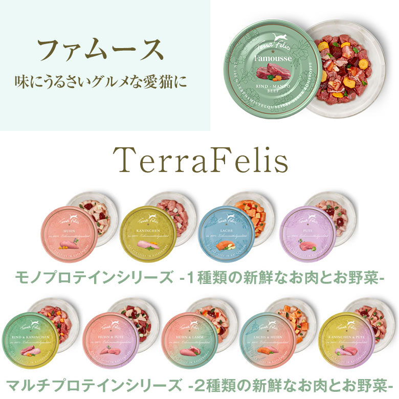 テラフェリス