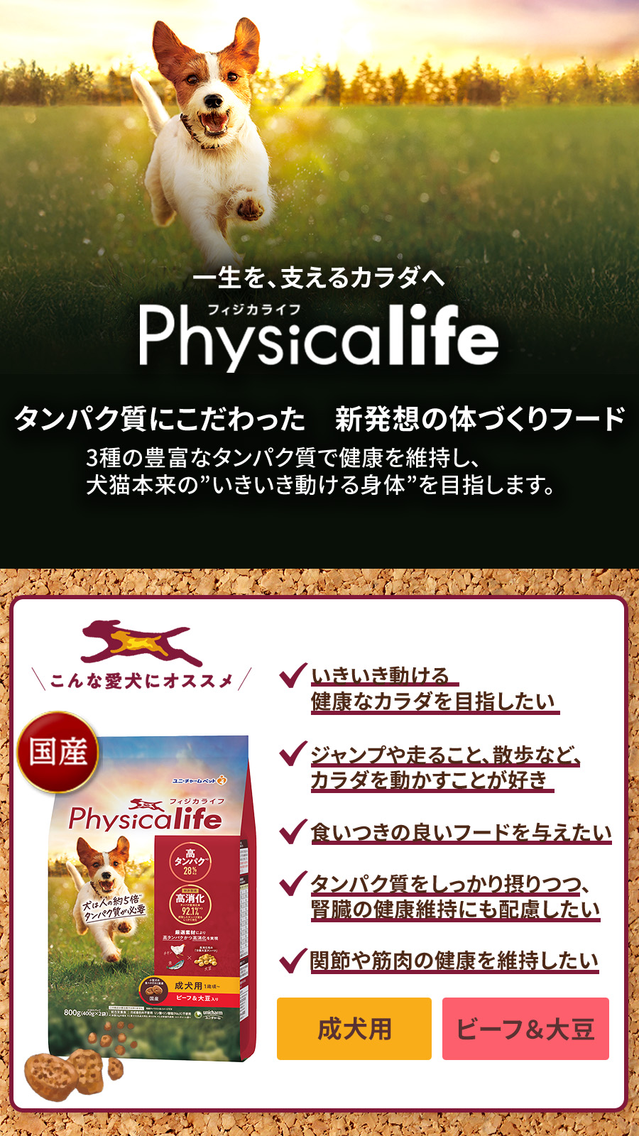 Physicalife成犬用ビーフ＆大豆入り