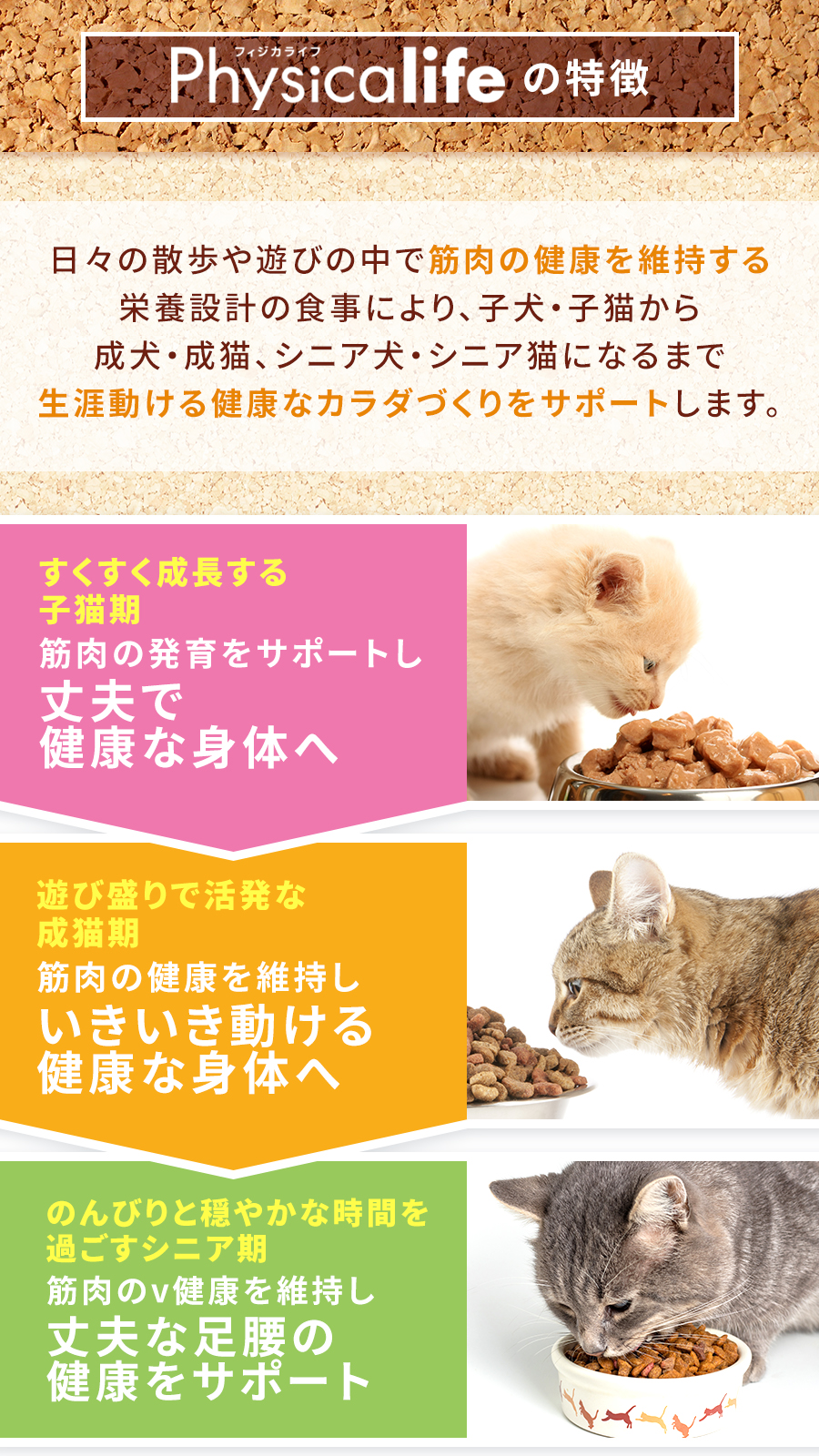 Physicalife室内猫用チキン入り 500g