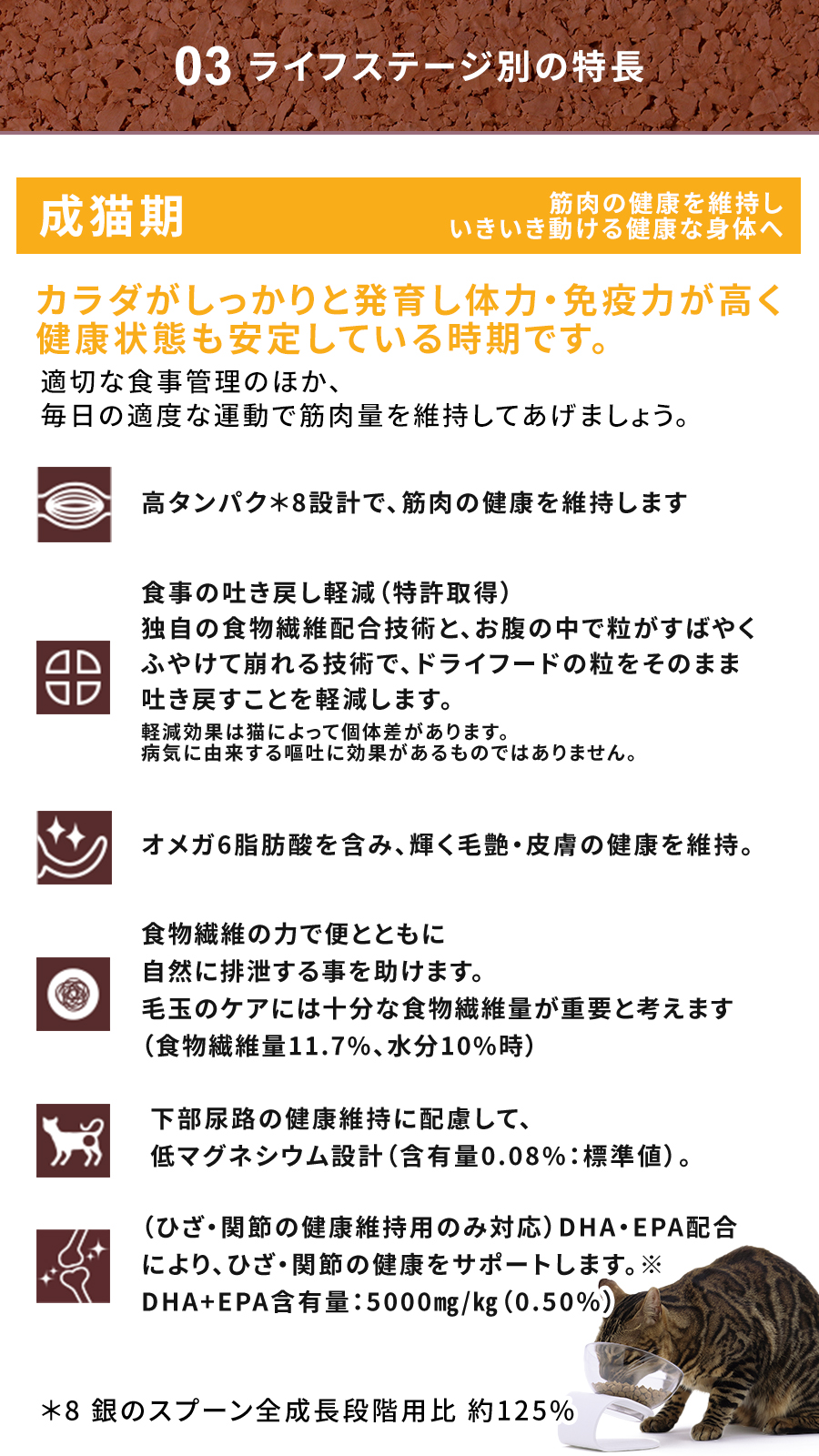 Physicalife室内猫用チキン入り 500g