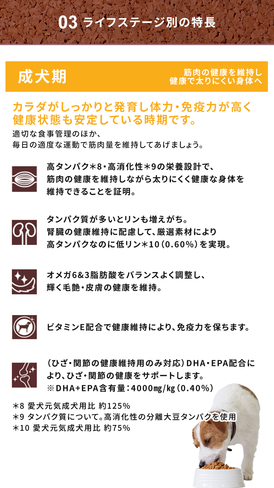 Physicalife成犬用チキン＆大豆入り 800g
